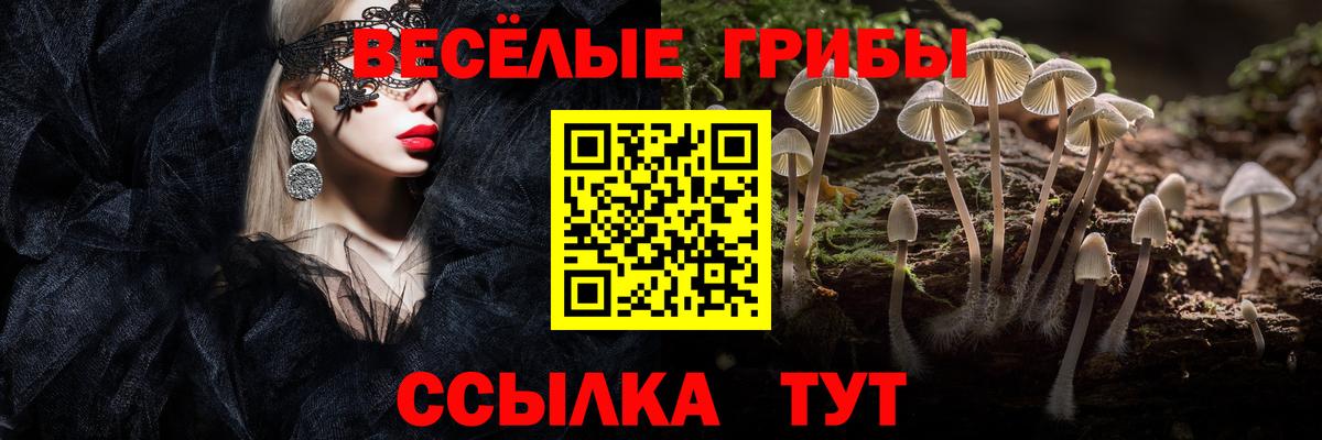 Псилоцибиновые грибы прущие грибы Чайковский